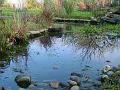2009-0114_1420_Pond_3,7C
